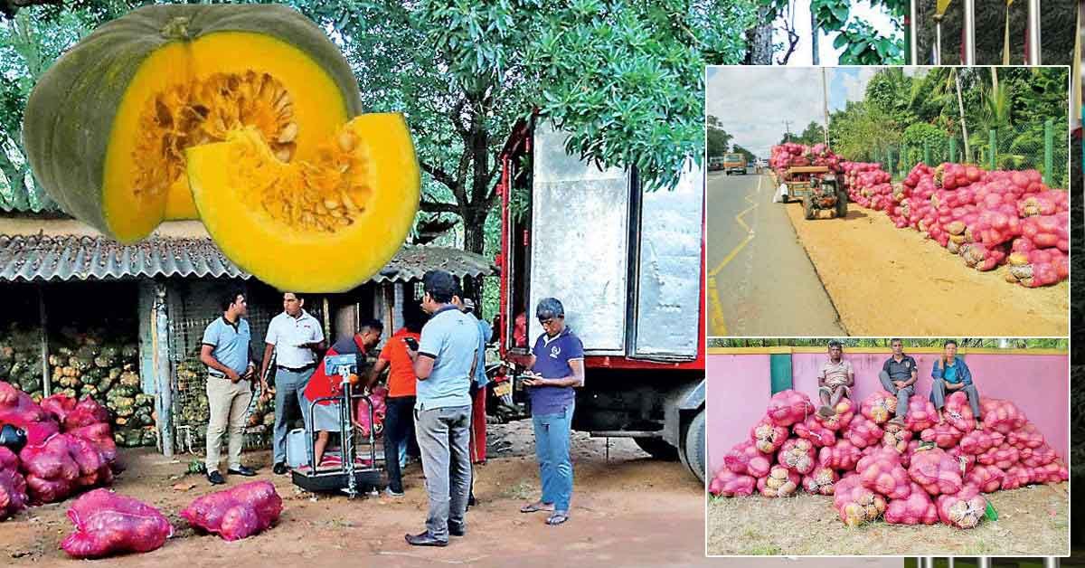 ආහාර සුරක්ෂිත දිනයේ හෙළිවූ කෘෂි අර්බුදය