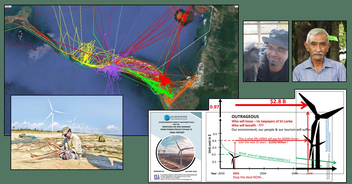 ටෙන්ඩර් නැතිව ආ අදානිගේ සුළං මෝල් ..!